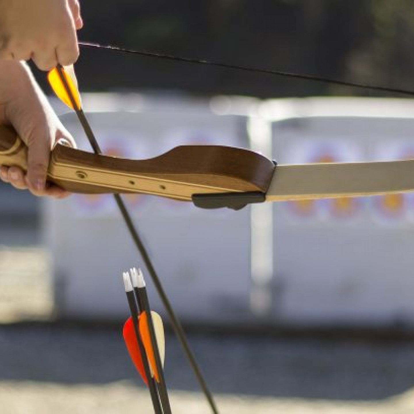 Archery Lessons Newfield, NJ The Rack Shack, LLC